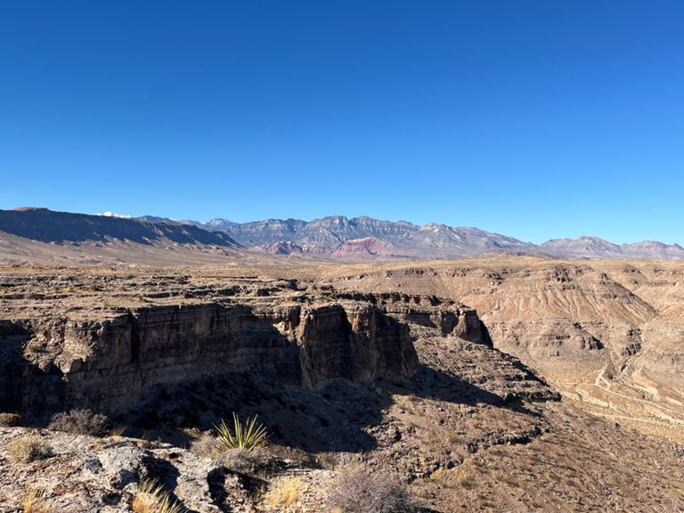 «» — фото 5