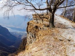 Rovio à monto Generoso