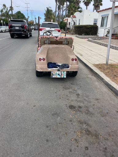 For my pals from Wyo! Crazy license plate