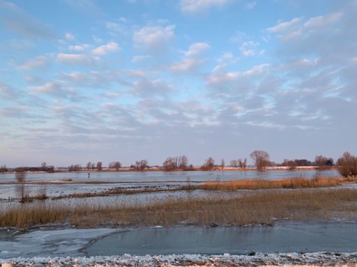 Hoog water in de Lek