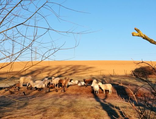 Friedliches zusammenleben geht. 😍