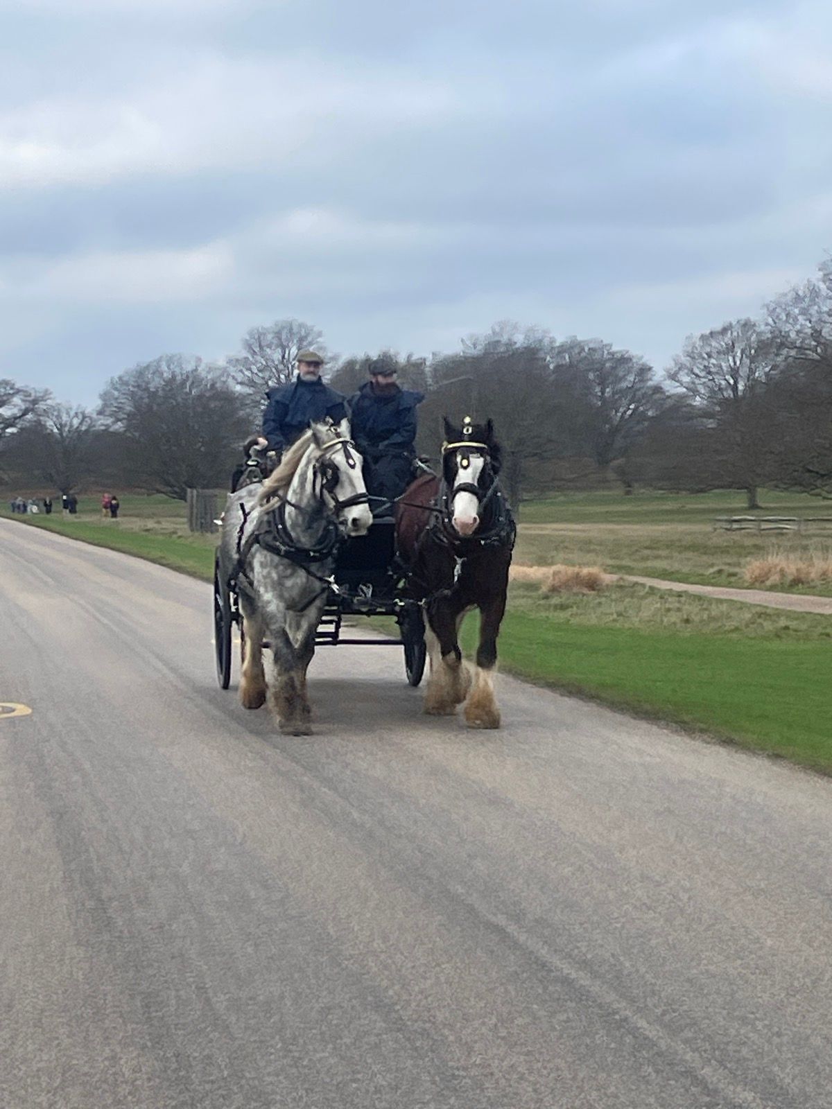 Only horse drawn traffic was allowed. 