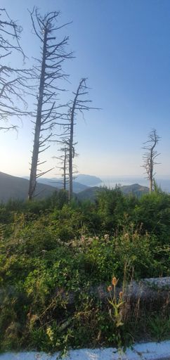 Altopiano del Fasce, vista su Portofino