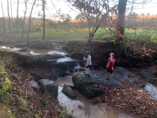 All three jumped across, but I didn’t get a single one midair!