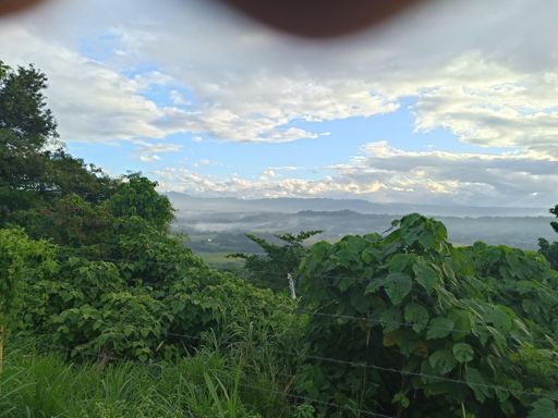 Binangonan Quarry Road 2