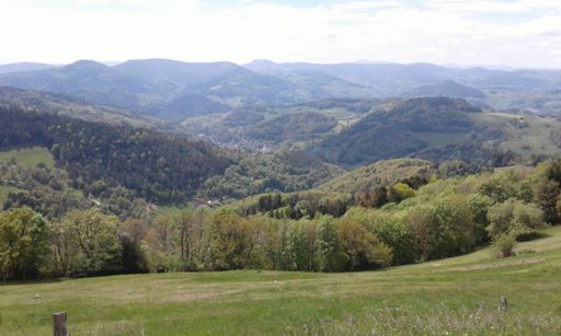 Vue du Haut Voirimont 😎