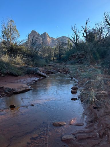 Ice on the pooled water