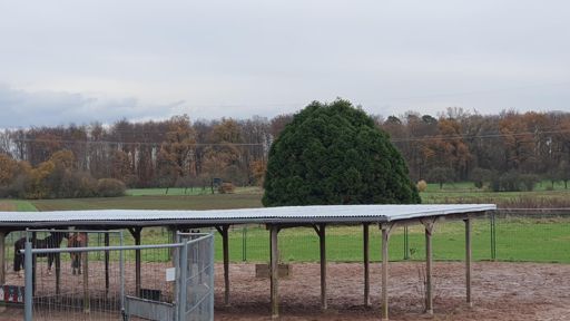 Dreieich_ID24168_BM_Am Kirchborn 8