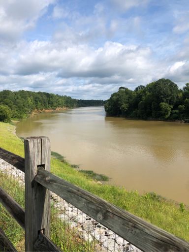 Black Warrior River looking upstream is muddy from the rainstorms last couple days.