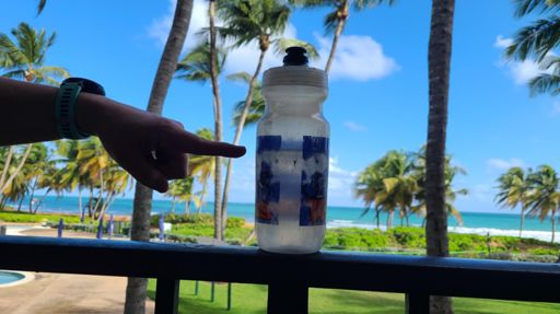 Half empty bottle from squirting dogs