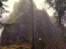 Trotte belfosse champ du feu