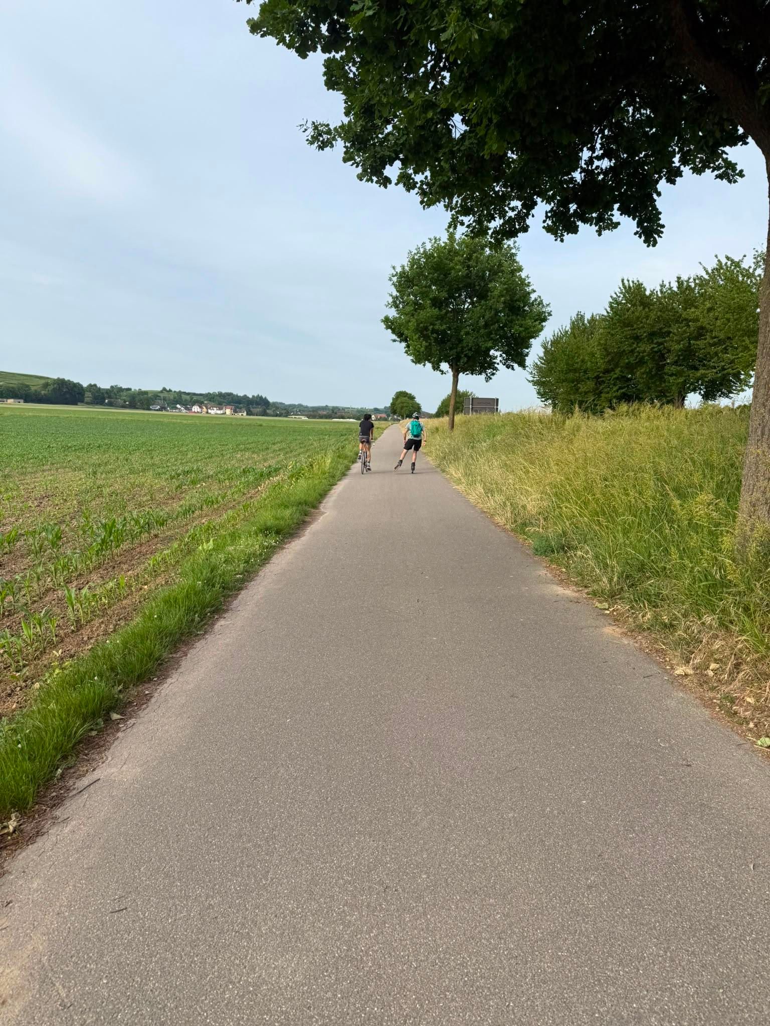 Activity photo
