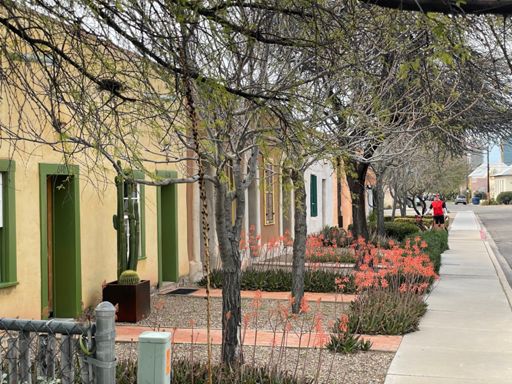 Our rented Tucson home.