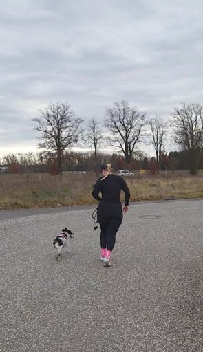 Duracell Emmchen will toben 🐾 Hundeopi Curry zieht die Couch vor