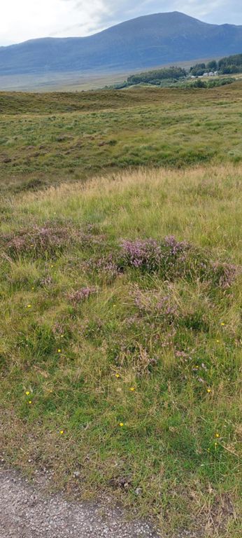 3165ft/962m Ben Klibreck.  https://en.wikipedia.org/wiki/Ben_Klibreck