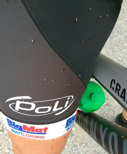 Quand les moucherons restent collés sur le cuissard, c'est que la vitesse est bonne !🚲🚲🚲