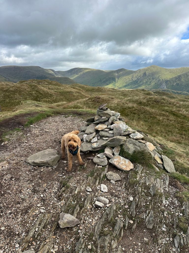 Lakes Day 3 - Morning hike too Wansfell Pike-3