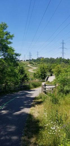 New favourite hill (up and down)