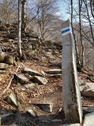 Rovio à monto Generoso