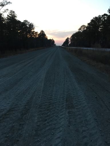 No cars to worry about on the gravel!