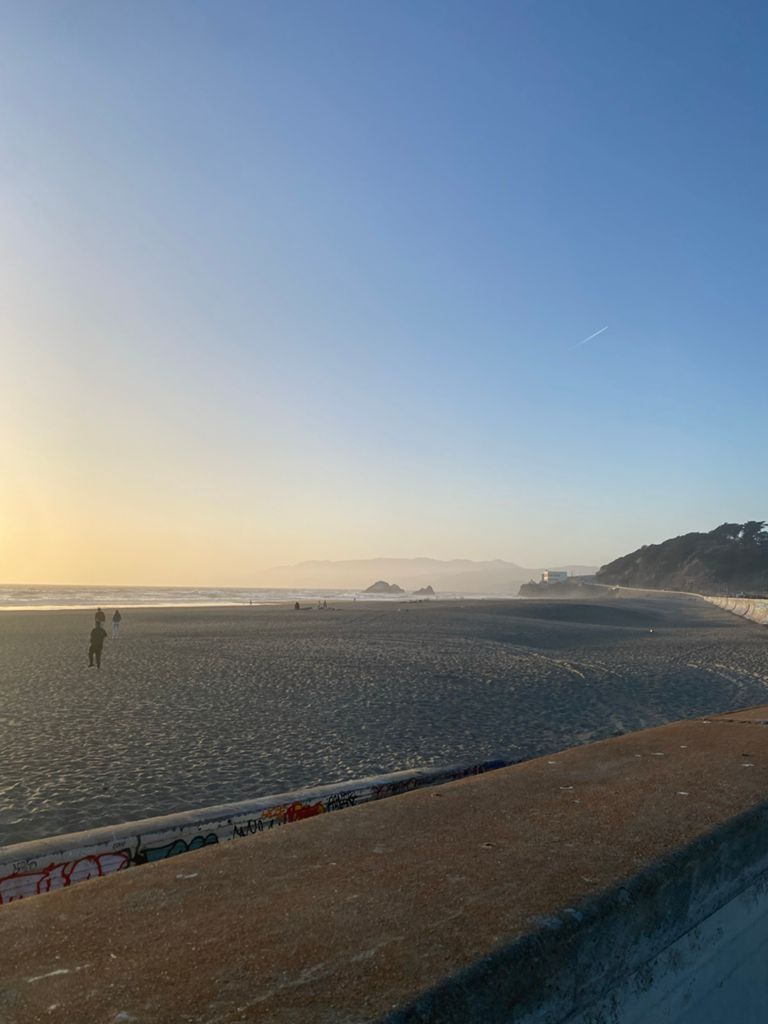 Butterlap (Presidio & Golden Gate Park) photo 57