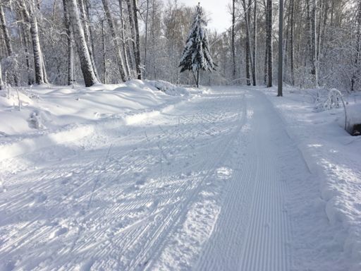 много мелкого копытинга