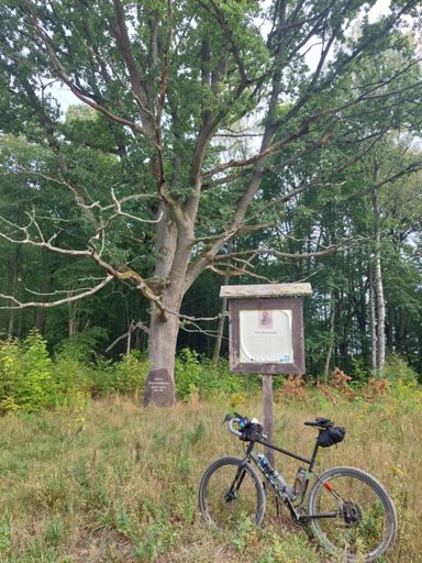 Kamień upamiętnia mazurskiego pisarza Fritza Skowronnka