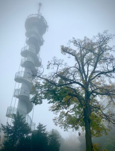 The views up on Gallitzinberg are marvellous