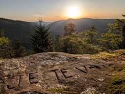 Pierre-piquée Derzognier