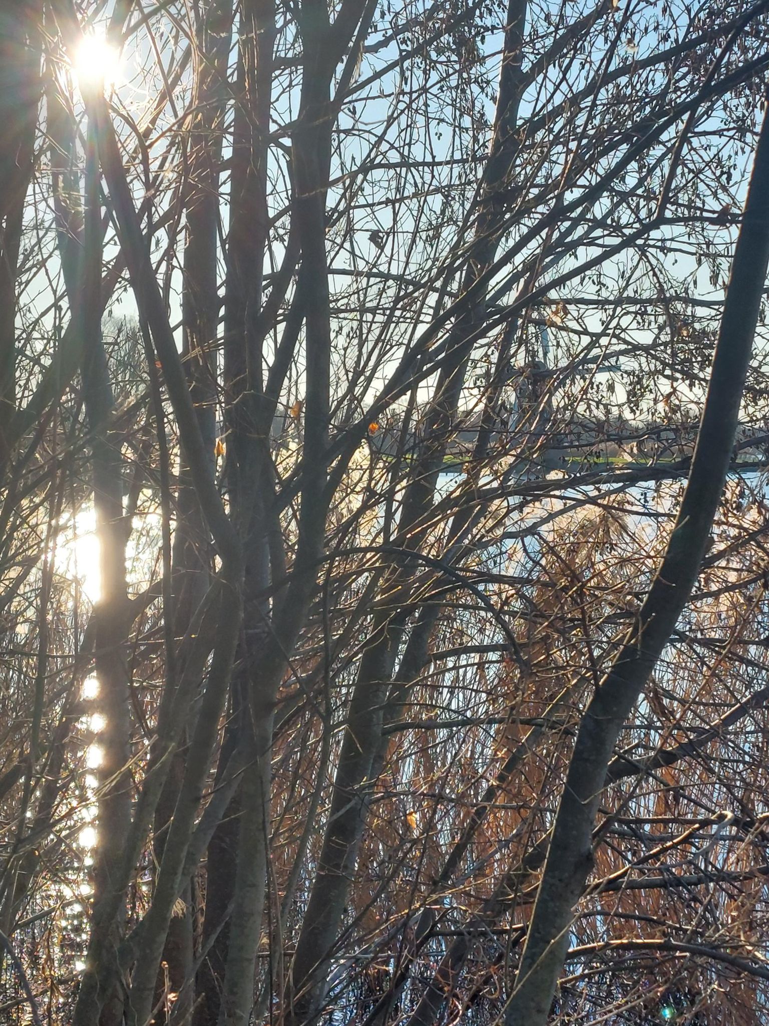 Paterswoldsemeer Haren 