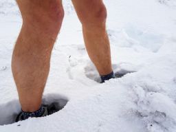 Trotte blanche au Gazon du Faing