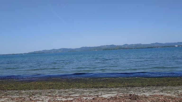 所によっては潮の香りがしたりしなかったり。でも普段見ない風景なので新鮮。