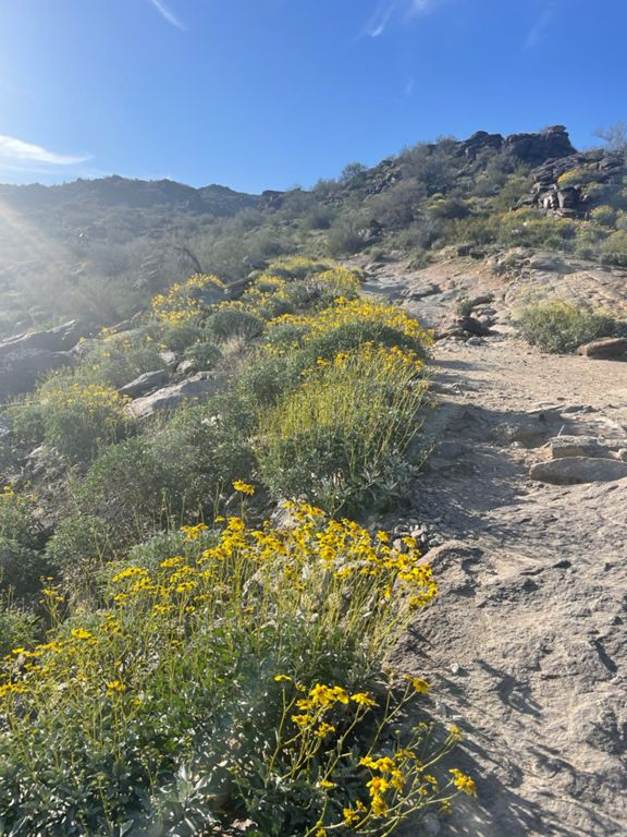 Mormon Trail photo 5