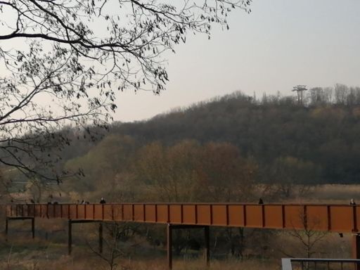 Kienbergsteg, im Hintergrund Seilbahntraeger.