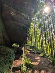 Descente en rappel avec Raphaël