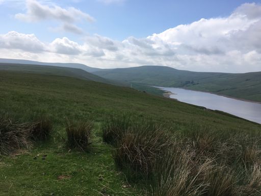 No one can hear you scream!