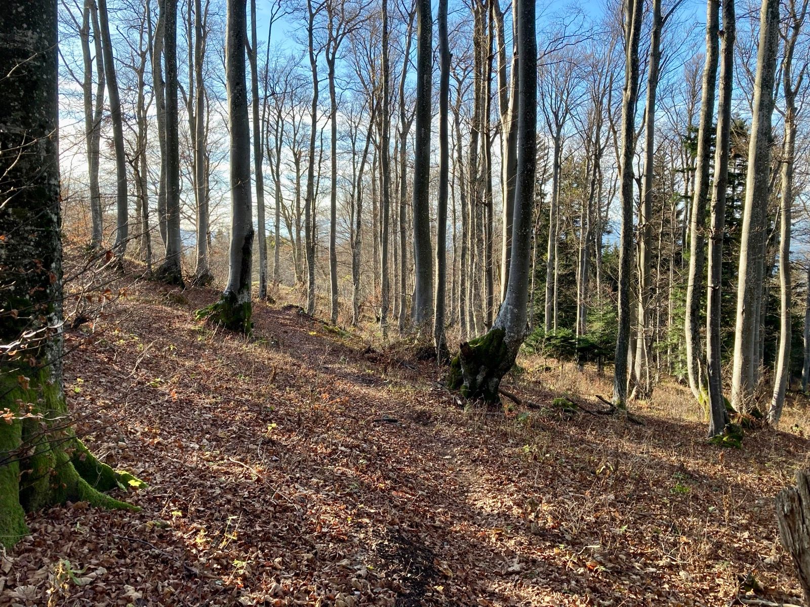 Ride Image 10