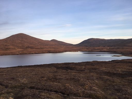 Still today, no wind