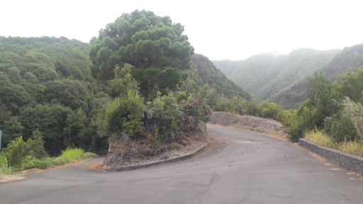 Mucho más bonita la vista hacia arriba, sin duda