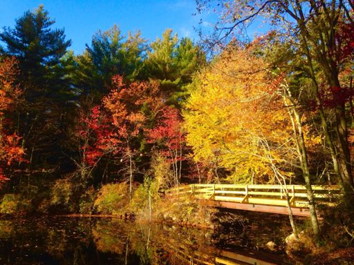 Access to the trails