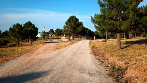 Antigua casa del Barón de Cortes, hoy casa forestal de vigilancia permanente de la muela de Cortes.