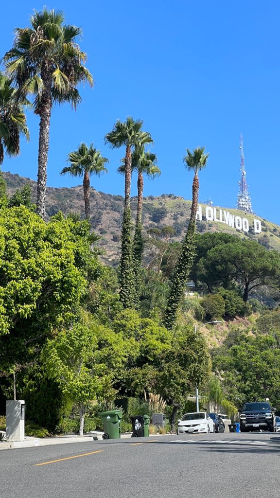 NBB run - Lake Hollywood: фото 134