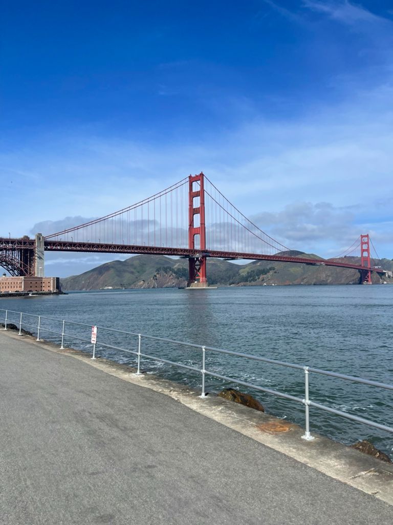 Butterlap (Presidio & Golden Gate Park) photo 176