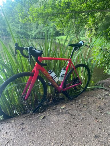 Stillleben mit Enten