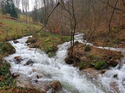 Trotte belfosse champ du feu