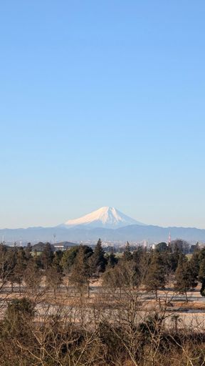 あまりの低温(自宅で-1℃)にひよって、出走は日の出後にした