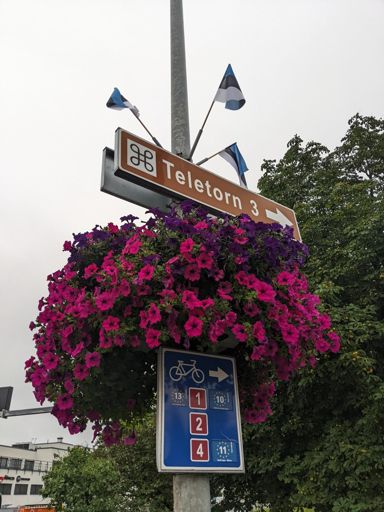 I'll probably do a chunk of EuroVelo 11 (East Europe Route).