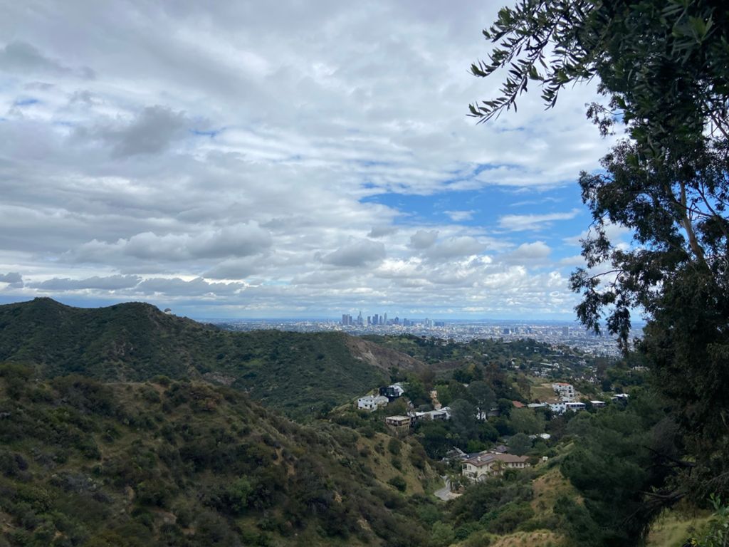 NBB run - Lake Hollywood photo 26