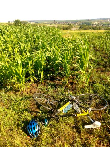 Удбряю местный попкорм