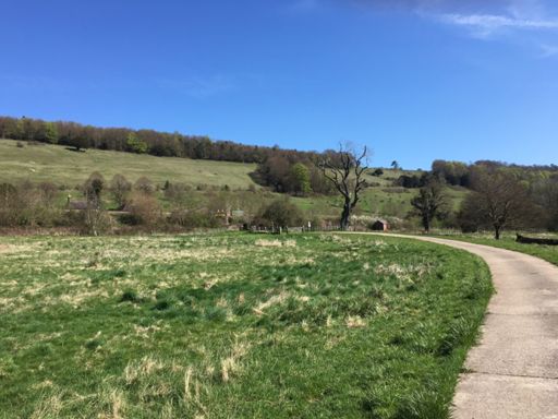 Sector 3: up from Wotton to Ranmore Common